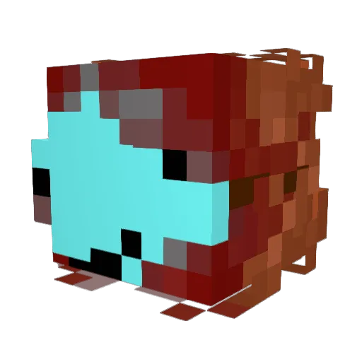 quinnimator Minecraft avatar head, 3D render