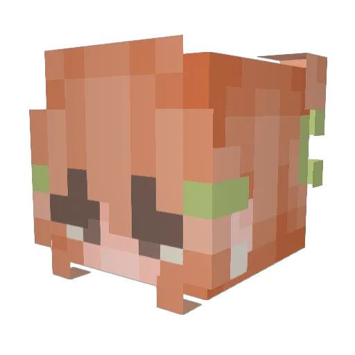 quinnleaf Minecraft avatar head, 3D render