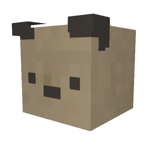 quinnsinabin Minecraft avatar head, 3D render