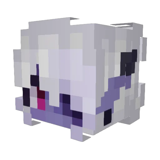 quinnsquid Minecraft avatar head, 3D render