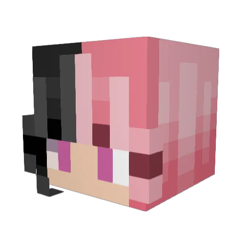 quinnymidg3t Minecraft avatar head, 3D render