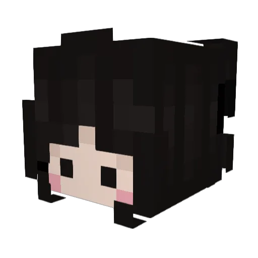 quintesu Minecraft avatar head, 3D render