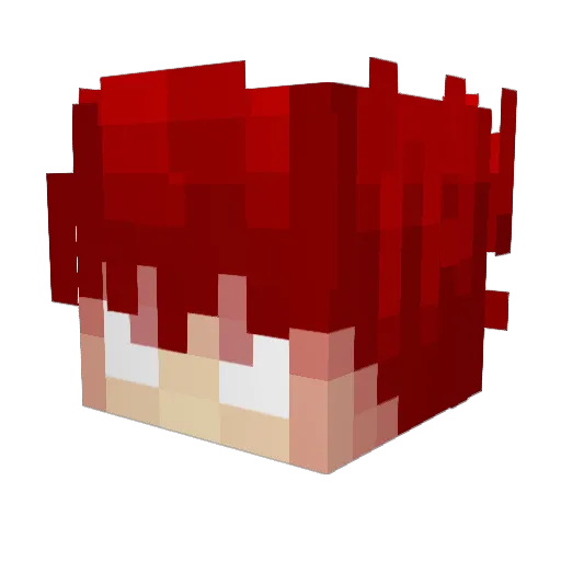 quittinglolxdbye Minecraft avatar head, 3D render