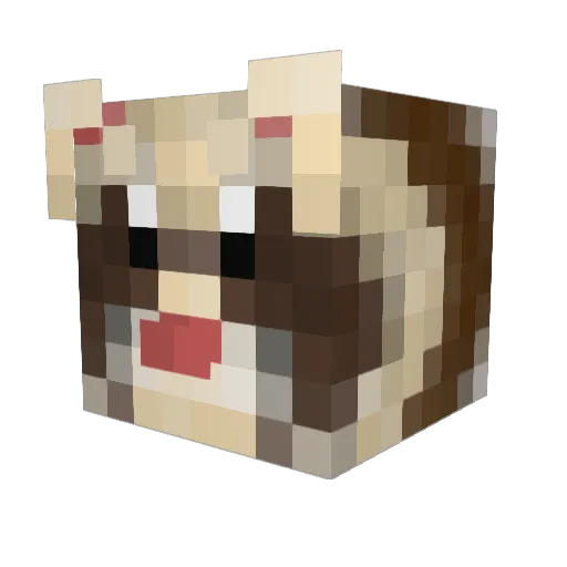 quixotic96 Minecraft avatar head, 3D render