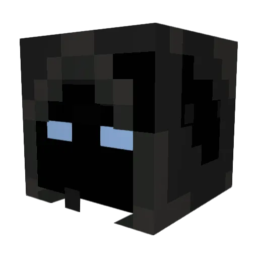 quizzcalplane Minecraft avatar head, 3D render