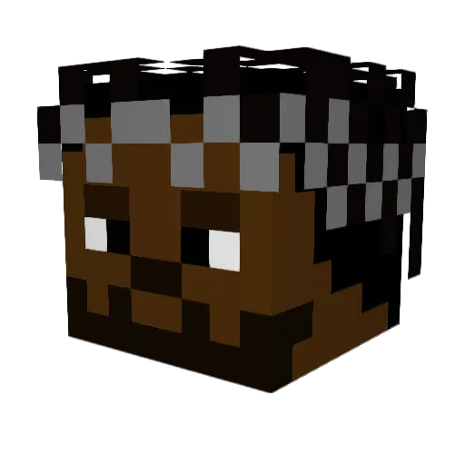 quoope Minecraft avatar head, 3D render