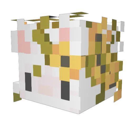 quotezoov Minecraft avatar head, 3D render
