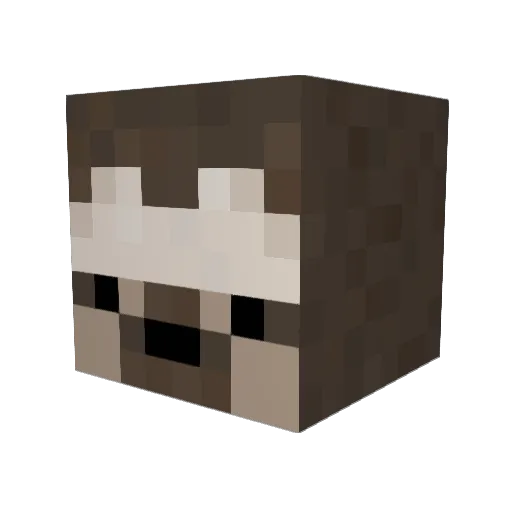 quouchi Minecraft avatar head, 3D render