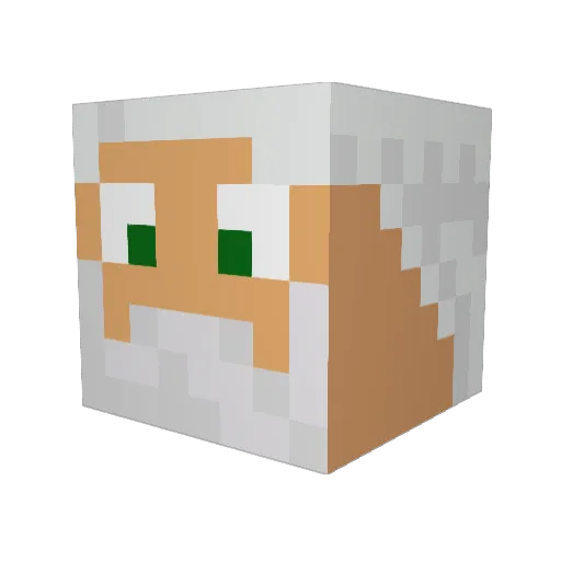 qutroz Minecraft avatar head, 3D render