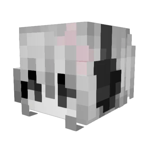 quuuuq Minecraft avatar head, 3D render