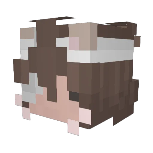 quytbel Minecraft avatar head, 3D render