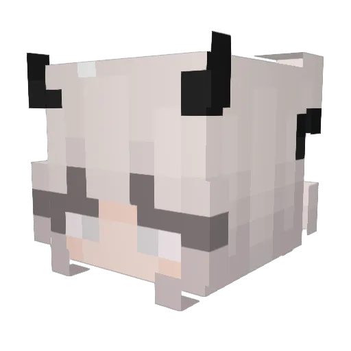 qvest20 Minecraft avatar head, 3D render