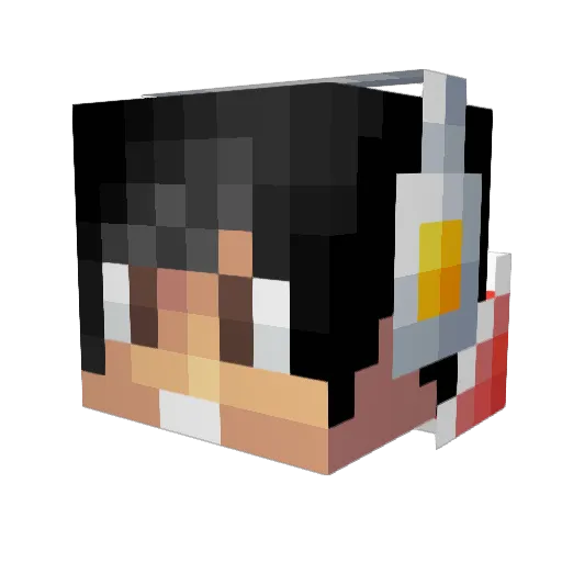 qwer4860 Minecraft avatar head, 3D render