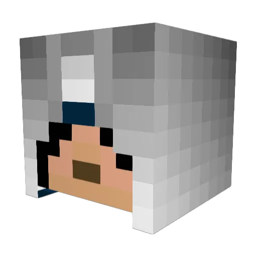 qwerti11 Minecraft avatar head, 3D render
