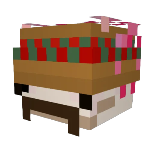 qwertopio Minecraft avatar head, 3D render