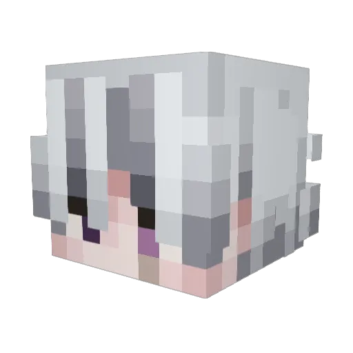 qwerty1778 Minecraft avatar head, 3D render
