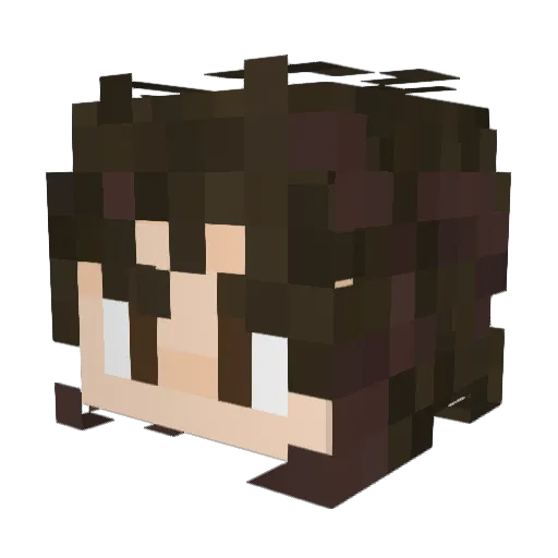 qwerty754 Minecraft avatar head, 3D render