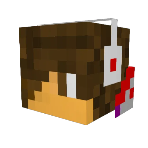 qwertyman767 Minecraft avatar head, 3D render