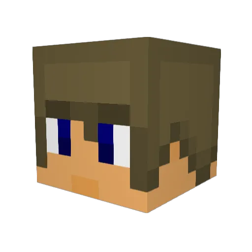 qwertyownzz Minecraft avatar head, 3D render
