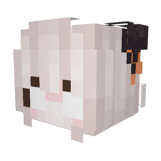 qwertyuii Minecraft avatar head, 3D render