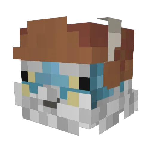 qwerwererr Minecraft avatar head, 3D render
