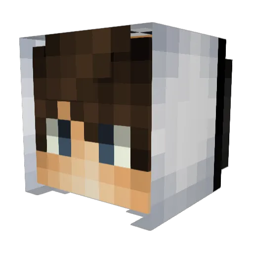 qwery1234 Minecraft avatar head, 3D render