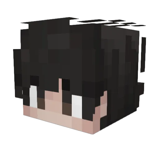 qwevb Minecraft avatar head, 3D render