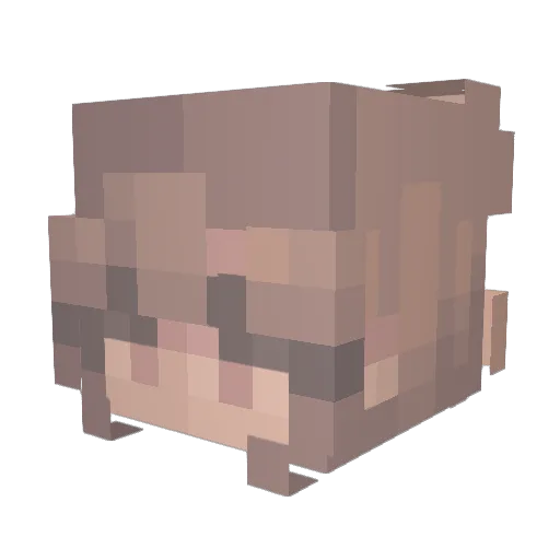 qwibbi Minecraft avatar head, 3D render