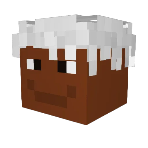 qwka Minecraft avatar head, 3D render