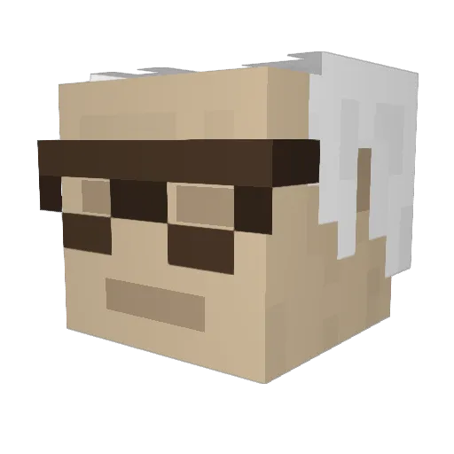 qwl1 Minecraft avatar head, 3D render