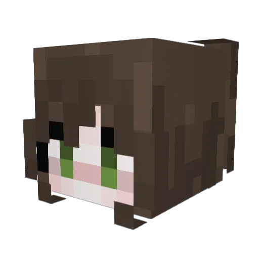 qwll_x26x Minecraft avatar head, 3D render