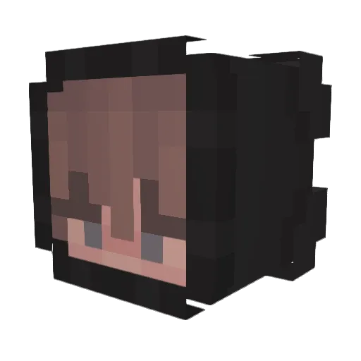 qwlsp Minecraft avatar head, 3D render
