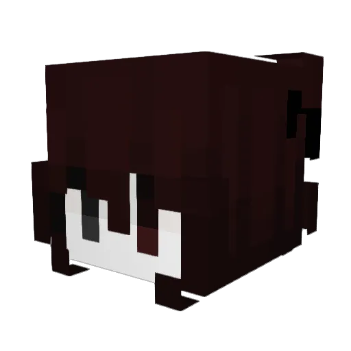qwna Minecraft avatar head, 3D render