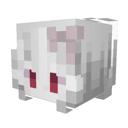 qwoohx Minecraft avatar head, 3D render