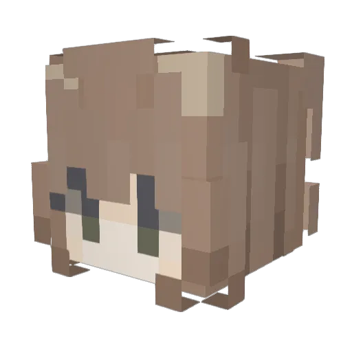 qwq1116 Minecraft avatar head, 3D render