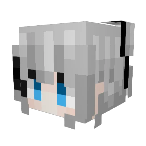 qwqeeas Minecraft avatar head, 3D render