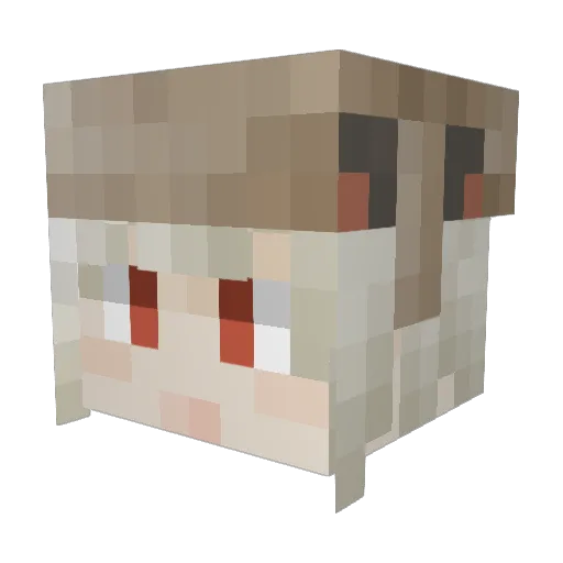 qwqwsw Minecraft avatar head, 3D render