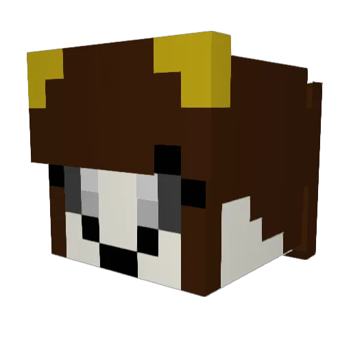 qwsq Minecraft avatar head, 3D render