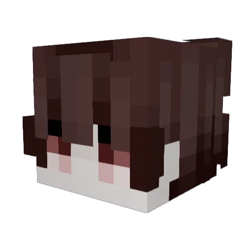 qxgm Minecraft avatar head, 3D render