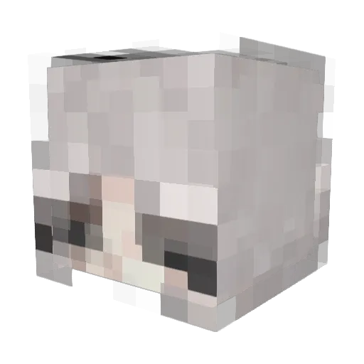 qxrlfs Minecraft avatar head, 3D render