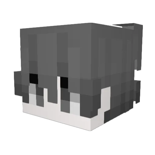 qxvzs Minecraft avatar head, 3D render