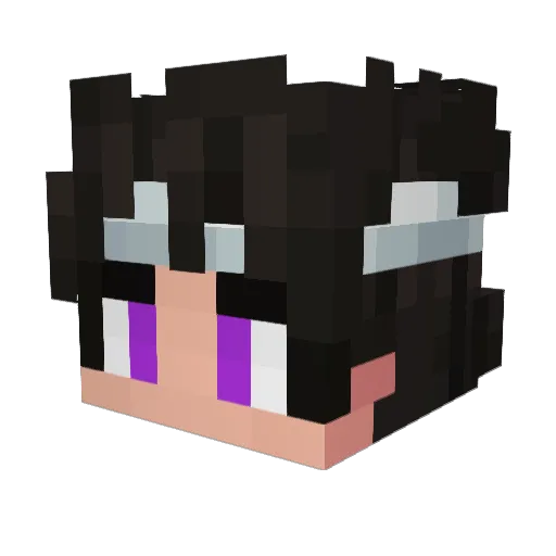 qxy__ Minecraft avatar head, 3D render