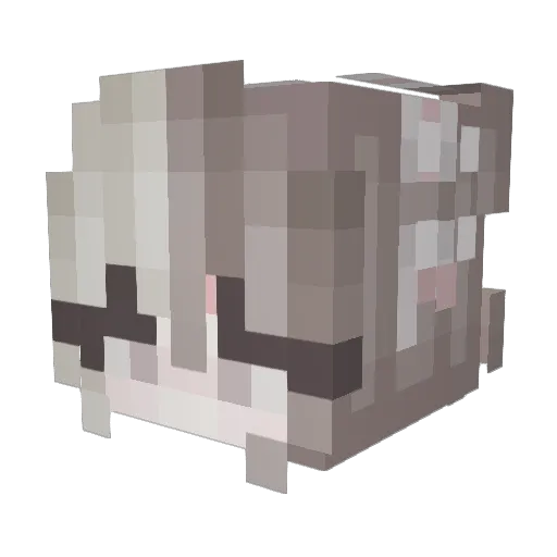 qygn Minecraft avatar head, 3D render