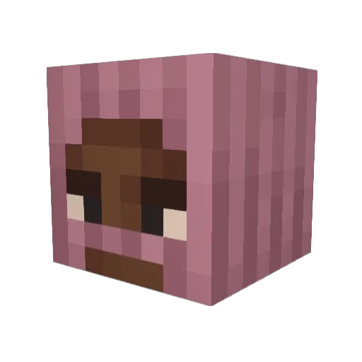 qyko Minecraft avatar head, 3D render