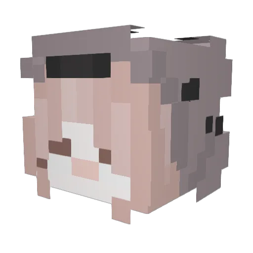 qzixq Minecraft avatar head, 3D render