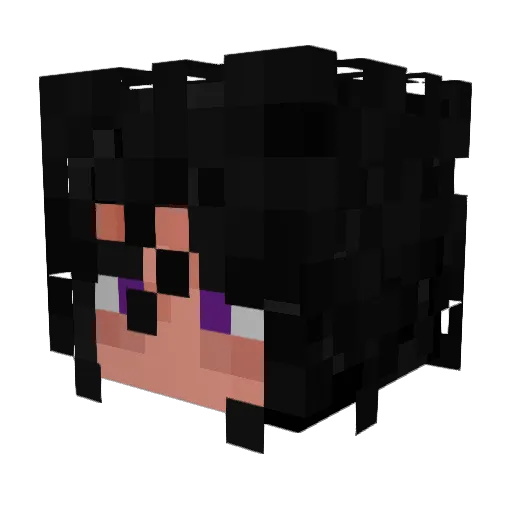 r0adkill_sl0p Minecraft avatar head, 3D render