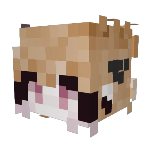 r0ckks Minecraft avatar head, 3D render