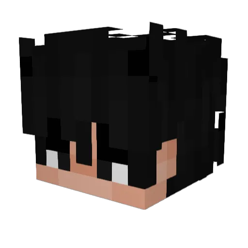 r0drx_ Minecraft avatar head, 3D render