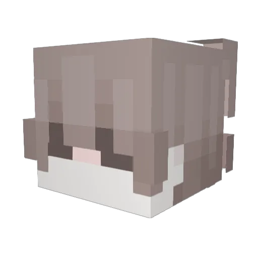 r0eo Minecraft avatar head, 3D render