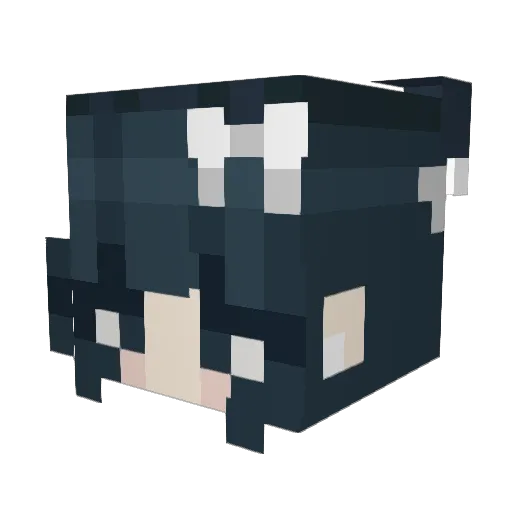 r0n1i Minecraft avatar head, 3D render